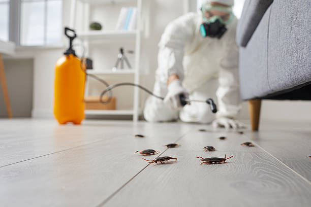 Commercial Kitchen Cockroach Control in Bagley